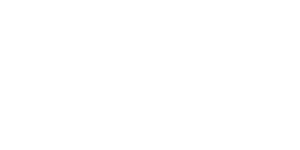 VAIO